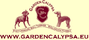 GardenCalypsa